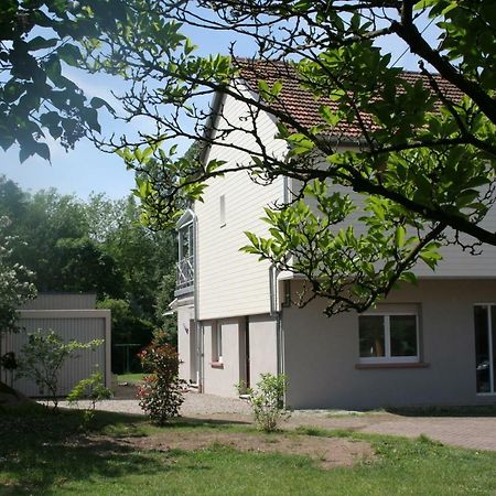 Gites Du Tilleul Gumbrechtshoffen Экстерьер фото