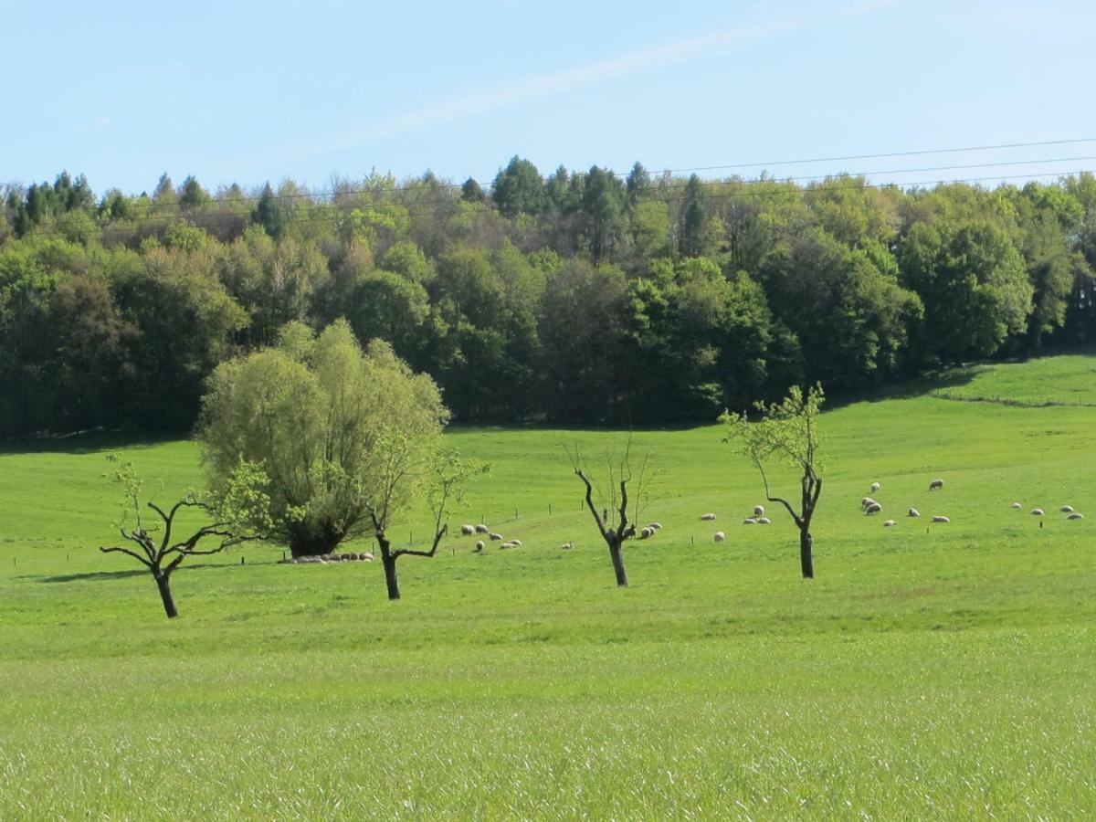Gites Du Tilleul Gumbrechtshoffen Экстерьер фото