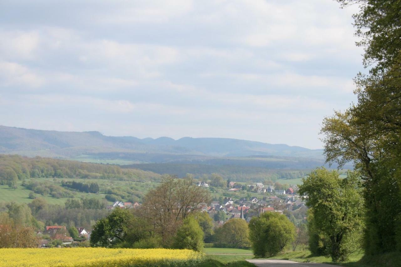 Gites Du Tilleul Gumbrechtshoffen Экстерьер фото