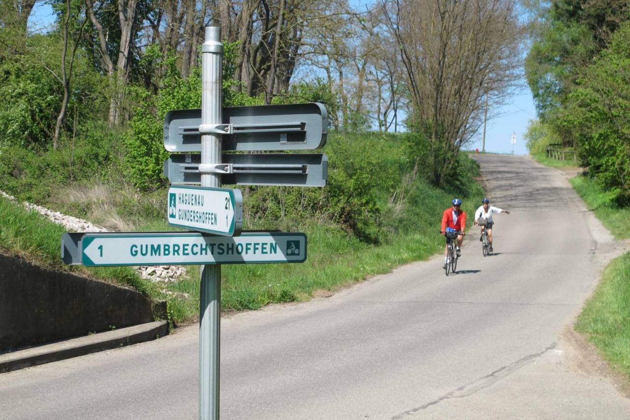 Gites Du Tilleul Gumbrechtshoffen Экстерьер фото